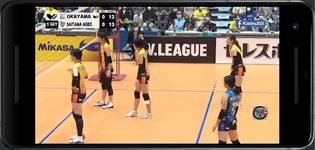 volleyfc afbeelding 3