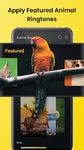 Tangkapan layar apk Semua suara binatang & burung 15