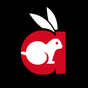 Rabbit Movies apk icon