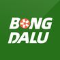 Bongdalu – Tỉ số bóng đá アイコン