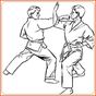 Biểu tượng apk Aprenda Karate