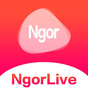 NgorLive APK