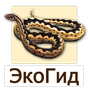 Иконка ЭкоГид: Рептилии
