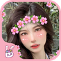 ikon Crown Heart Emoji live Filters 
