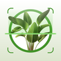 PlantApp: Plant Identification