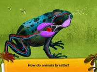 ¿Cómo funcionan los animales? captura de pantalla apk 10