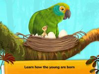 Tangkapan layar apk How do Animals Work? 14