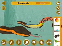 Tangkapan layar apk How do Animals Work? 15