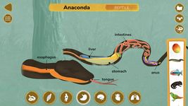 Tangkapan layar apk How do Animals Work? 7