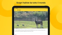 Screenshot 11 di Zoom Torino apk