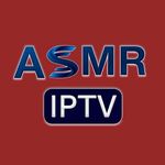 Asmr 4K ekran görüntüsü APK 23