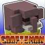 ไอคอน APK ของ Main Craftsman