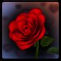 3D Rose Bouquet Live Wallpaper