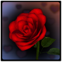 Иконка 3D Rose Bouquet Live Wallpaper
