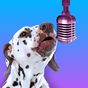 Иконка PetStar: My Dog & Cat Sings