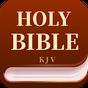Icono de KJV Bible Now: offline + audio