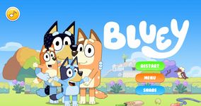 Imagine Bluey & Bingo Game family Run 1