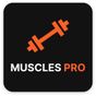 Muscles PRO APK