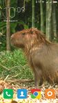 Imagine Capybara Wallpapers 4