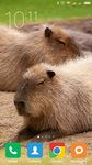 Capybara Wallpapers obrazek 3