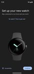 Google Pixel Watch의 스크린샷 apk 
