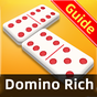 Domino Rich-App Guide APK