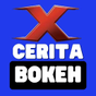 Cerita Bokeh Museum APK