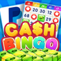 Bingo Winner Cash - Real Money apk icon
