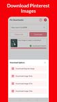 Gambar Pinterest Video Downloader 3
