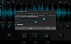 Voice PRO의 스크린샷 apk 14