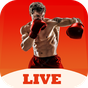 Boxing Live Streams - UFC Live APK