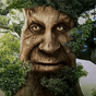 Ikona apk Wise Mystical Tree