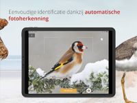 Vogels van Nederland en België screenshot APK 10