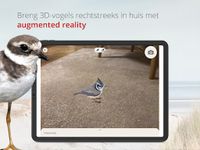 Vogels van Nederland en België screenshot APK 11