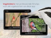 Vogels van Nederland en België screenshot APK 13