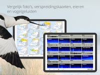Vogels van Nederland en België screenshot APK 14