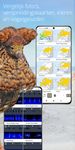 Vogels van Nederland en België screenshot APK 6