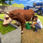 Ícone do jogo sim de fazenda de animais