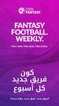 Copa Fantasy στιγμιότυπο apk 