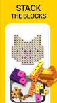 Blockin’ Color screenshot apk 10