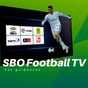 SBOTV Football Live Hints APK