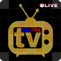 ikon Malaysia TV Live Streaming 