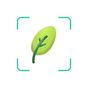 PlantID: Identificar Plantas APK