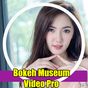 Bokeh Museum Video Pro APK