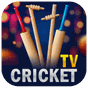 Apk Live Cricket TV Streaming 2022