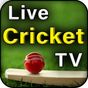 Live Cricket TV IPL 2022 APK