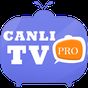 Canlı TV Pro APK