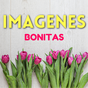 Ícone do Imágenes con Mensajes Bonitos