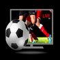 Euro Football Live tv App APK
