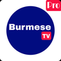 Burmese TV Pro アイコン